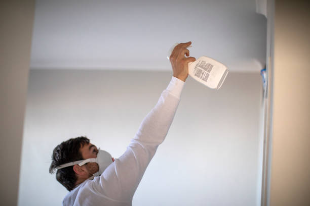 Best Mold Testing  in Modesto, CA