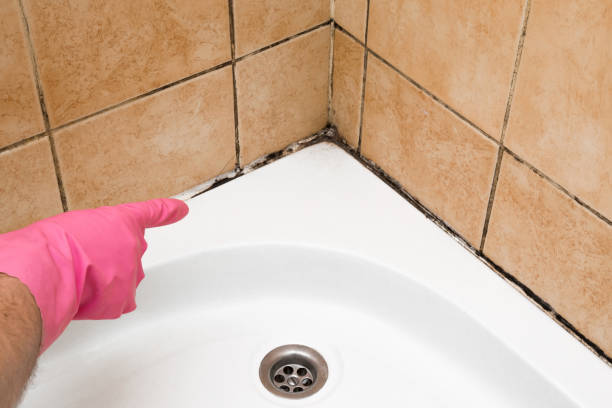 Best Crawl Space Mold Removal  in Modesto, CA
